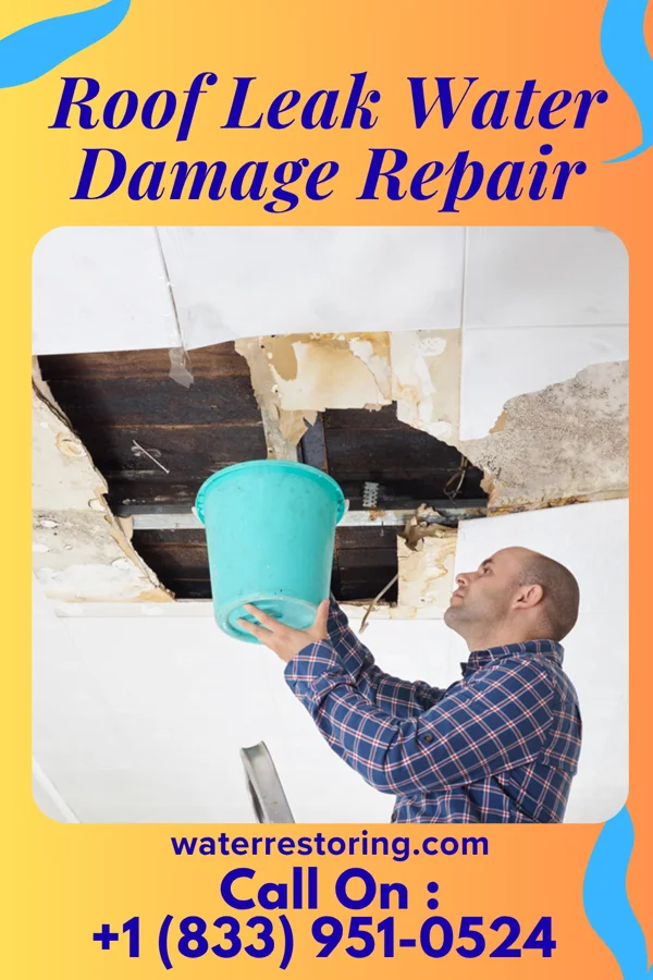 Roof Leak Water Damage Repair in Garrett, TX